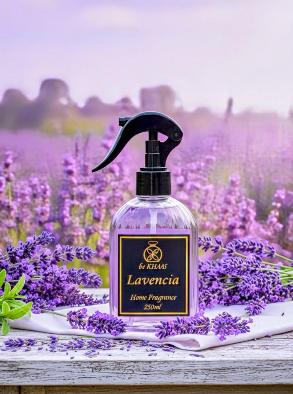 Lavencia